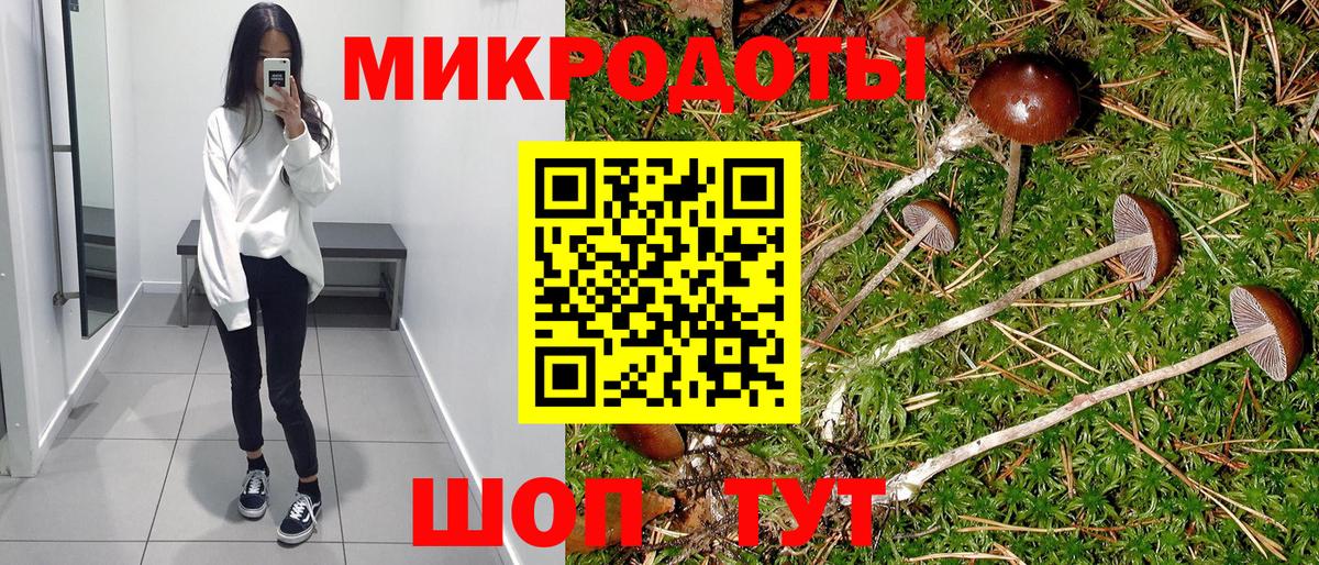 Псилоцибиновые грибы Cubensis  Псилоцибиновые грибы Psilocybine cubensis  Вход с VPN  Тулун 